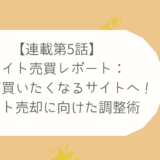 【連載第5話】買主が買いたくなるサイトへ！サイト売却に向けた調整術